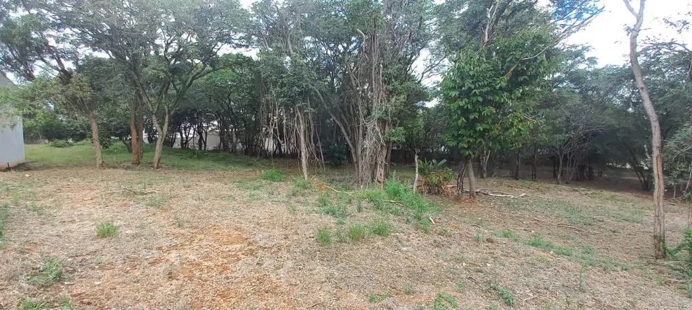 Terreno, 7000 m² - Foto 10