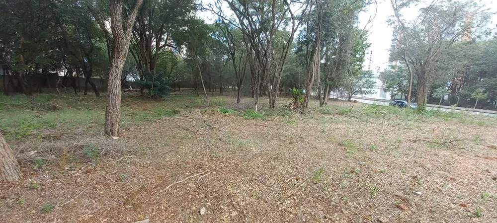 Terreno, 7000 m² - Foto 1