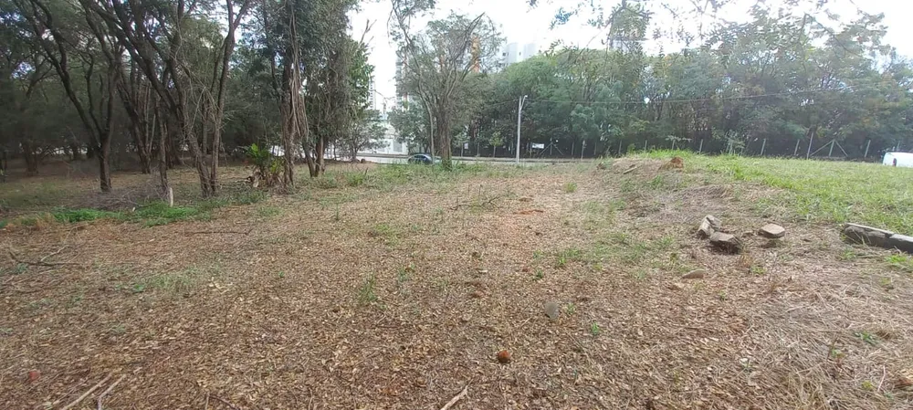 Terreno, 7000 m² - Foto 6