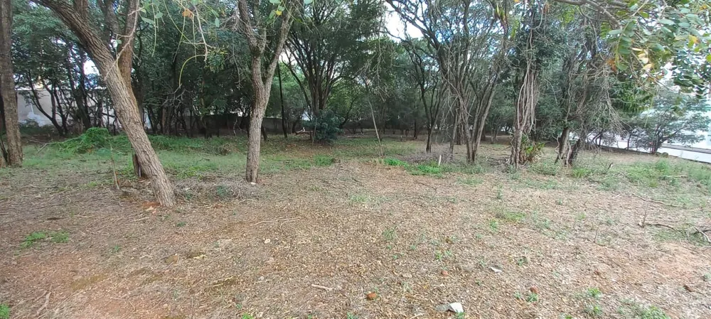 Terreno, 7000 m² - Foto 8