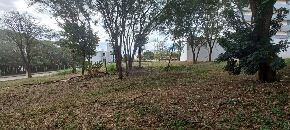 Terreno, 7000 m² - Foto 5