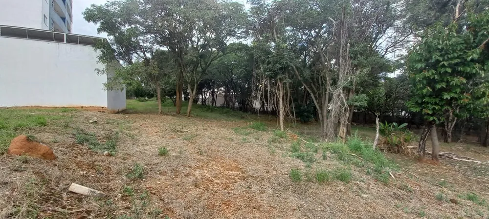 Terreno, 7000 m² - Foto 11