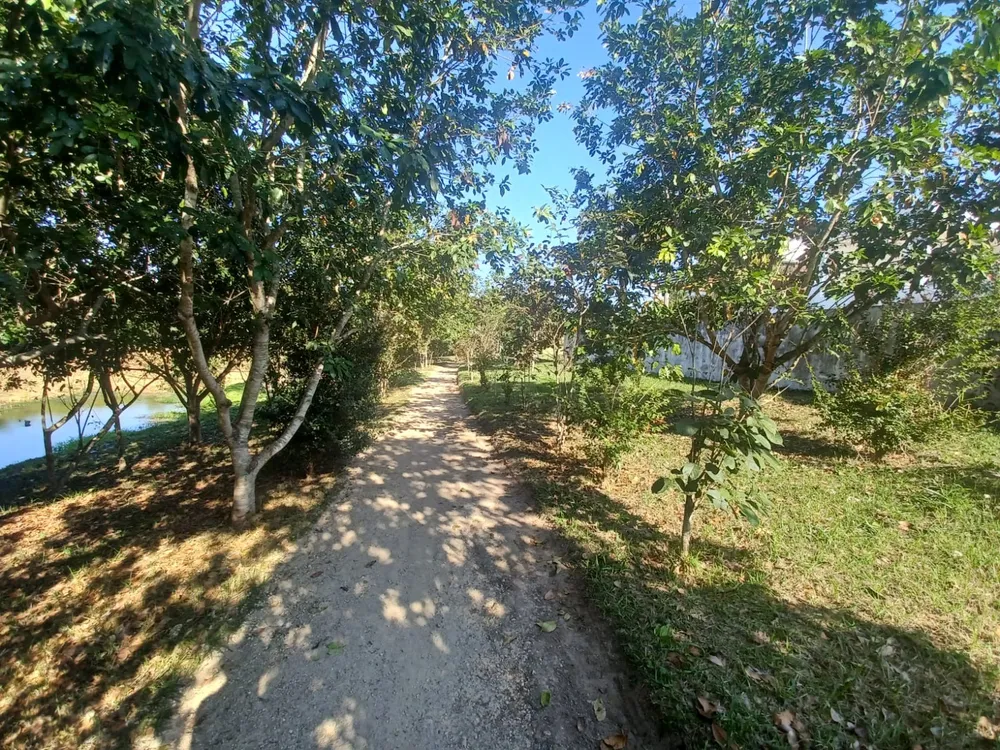 Casa, 3 quartos, 975 m² - Foto 3