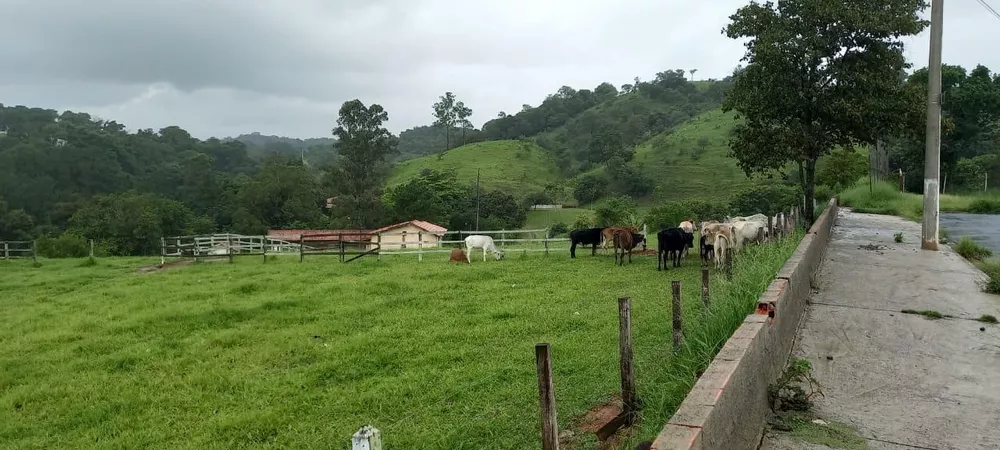 Terreno à venda - Foto 3