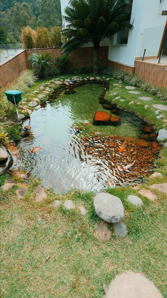 Casa, 5 quartos - Foto 5