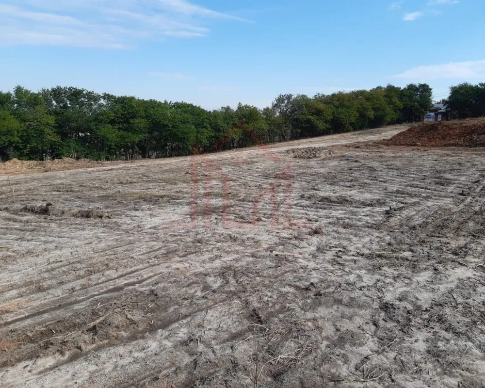 Terreno, 10 hectares - Foto 11