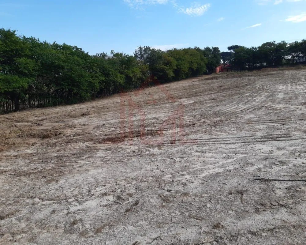 Terreno, 10 hectares - Foto 6