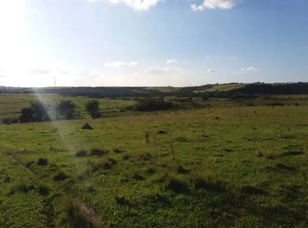 Terreno, 28 hectares - Foto 10