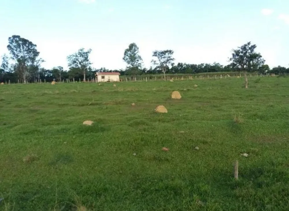 Terreno, 28 hectares - Foto 6