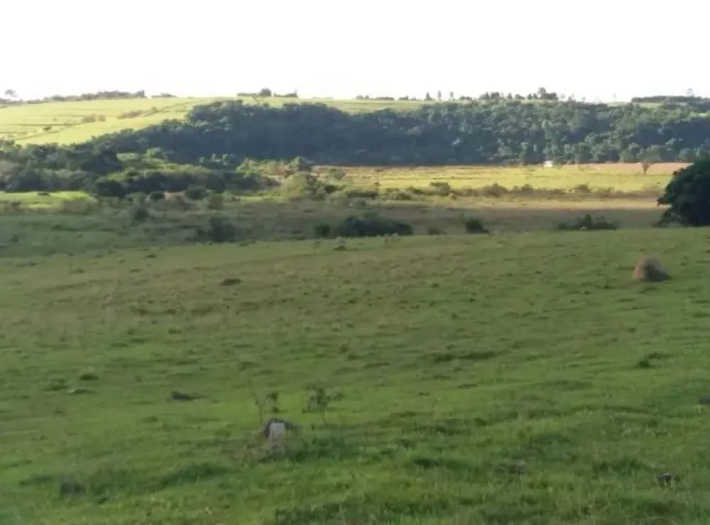 Terreno, 28 hectares - Foto 12
