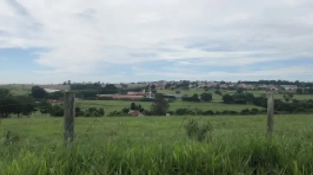 Terreno - Foto 6