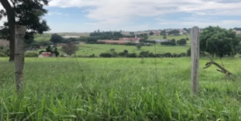 Terreno - Foto 2