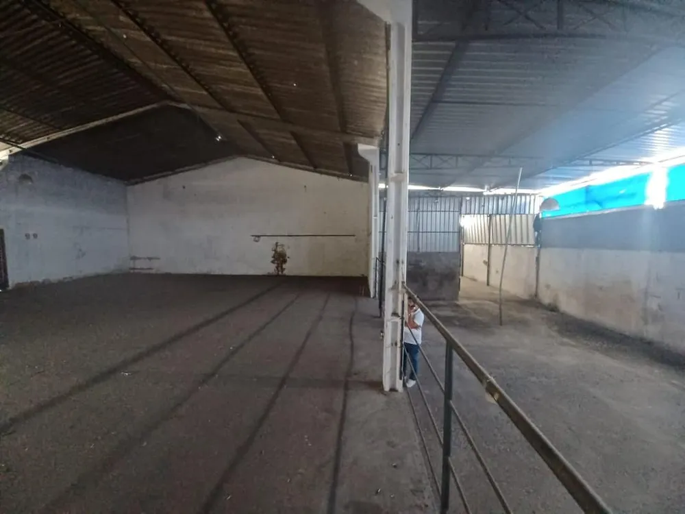 Depósito-Galpão - Foto 9