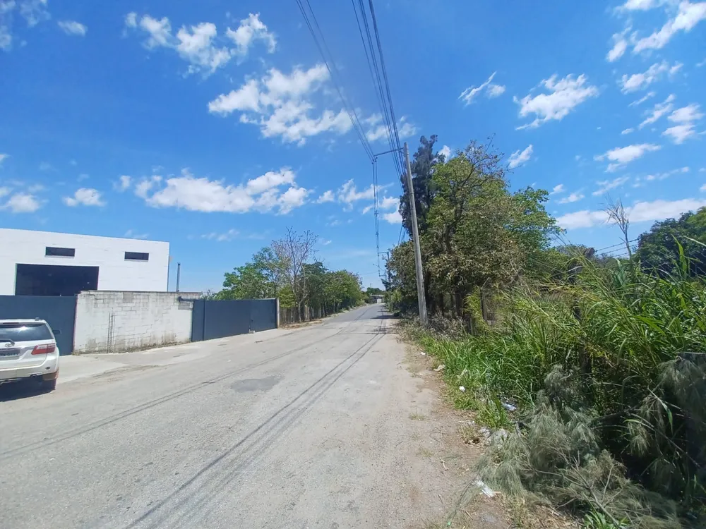 Depósito-Galpão - Foto 8