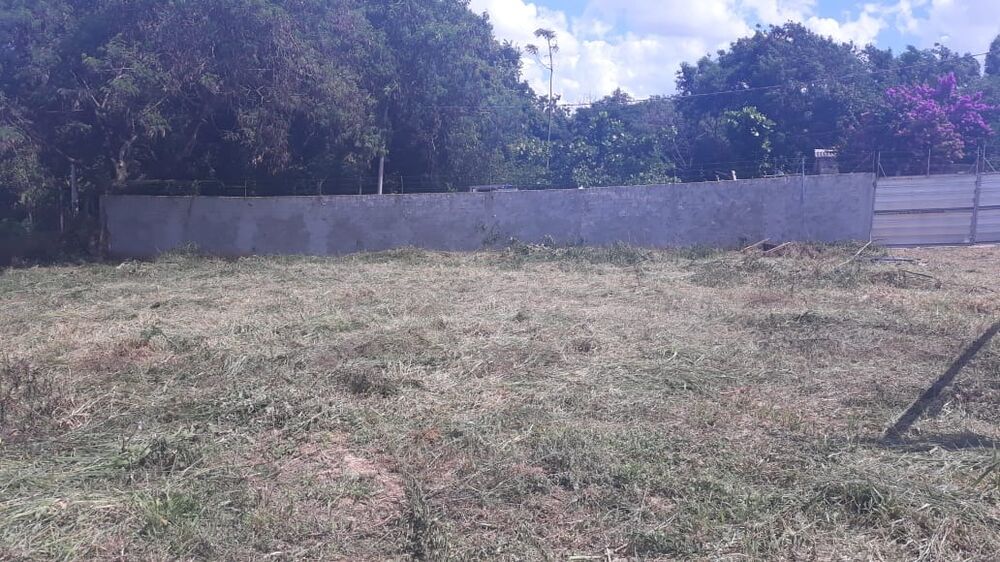 Terreno, 1 hectares - Foto 4