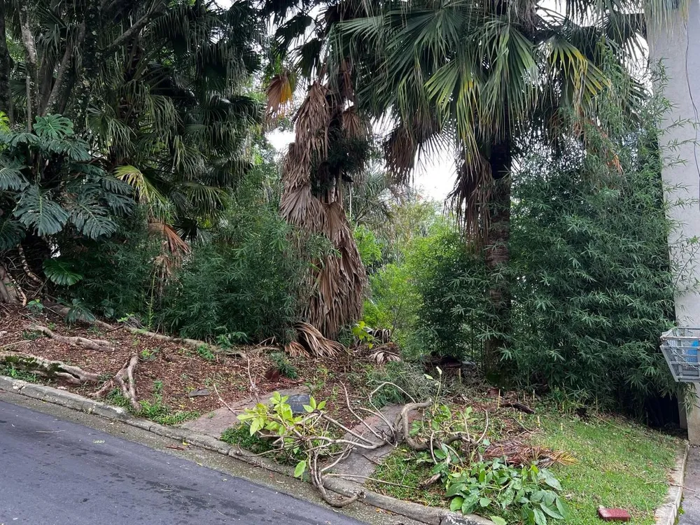 Terreno, 1328 m² - Foto 6