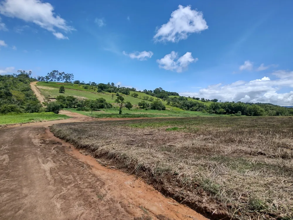 Terreno, 1000 m² - Foto 6