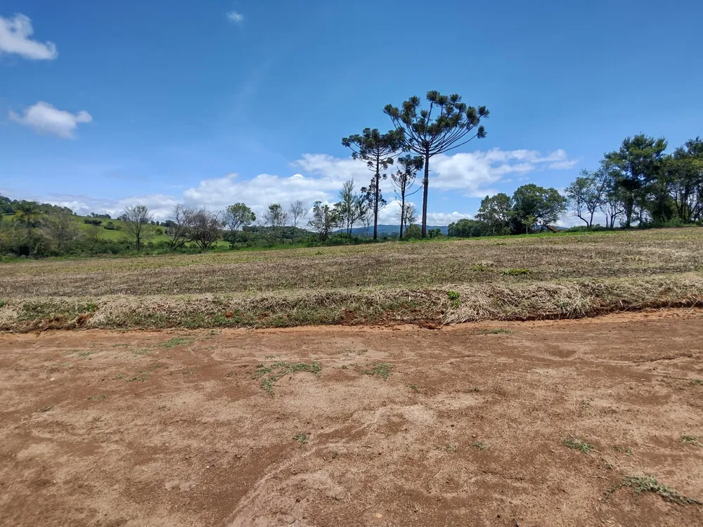 Terreno, 1000 m² - Foto 1