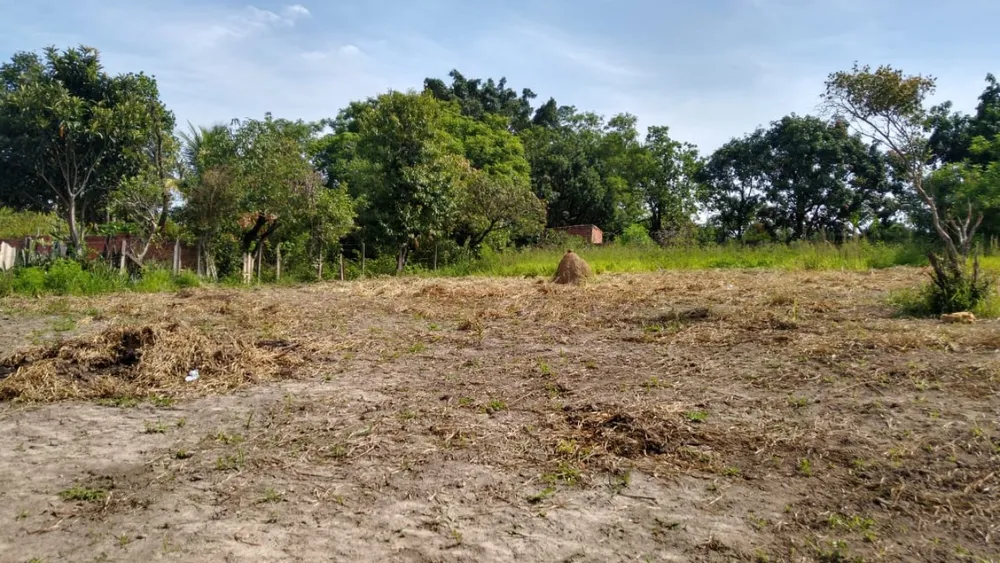 Terreno, 3166 m² - Foto 6