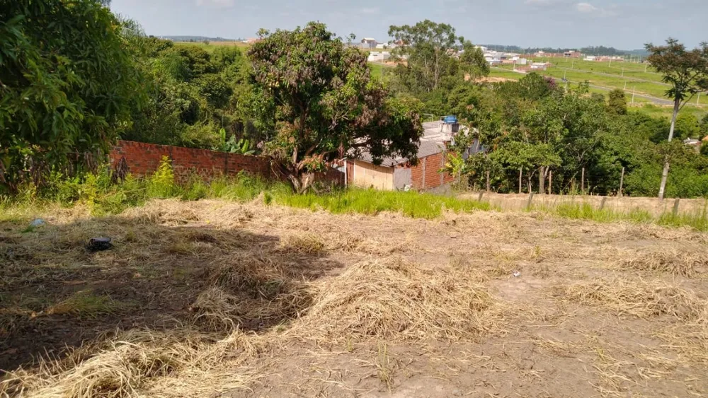 Terreno, 3166 m² - Foto 5