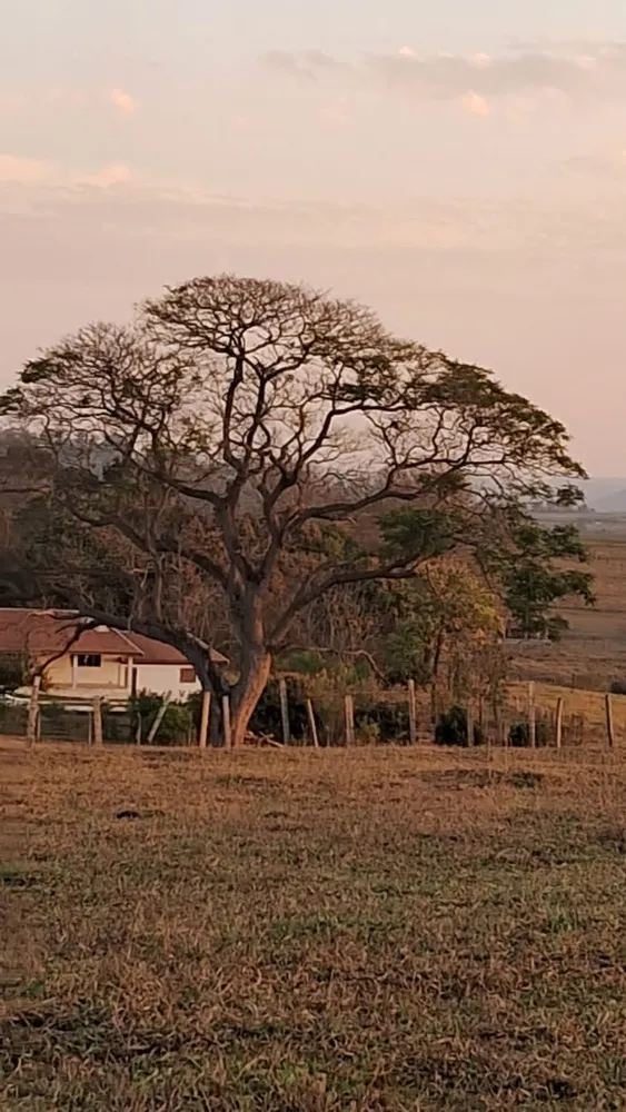 Chácara, 3 quartos - Foto 1