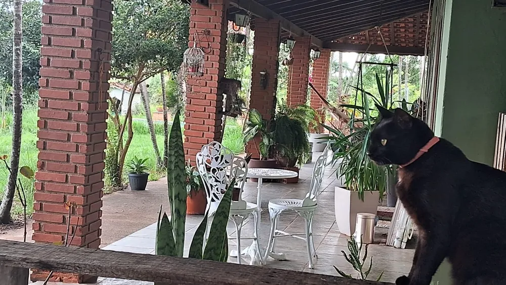 Chácara, 3 quartos - Foto 3
