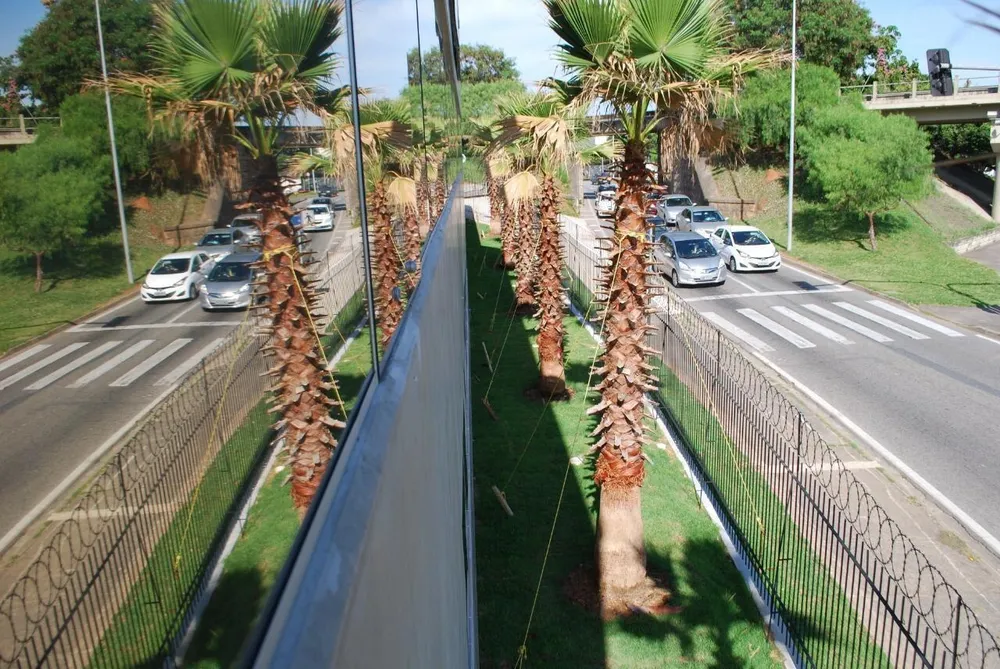 Depósito-Galpão, 1000 m² - Foto 2