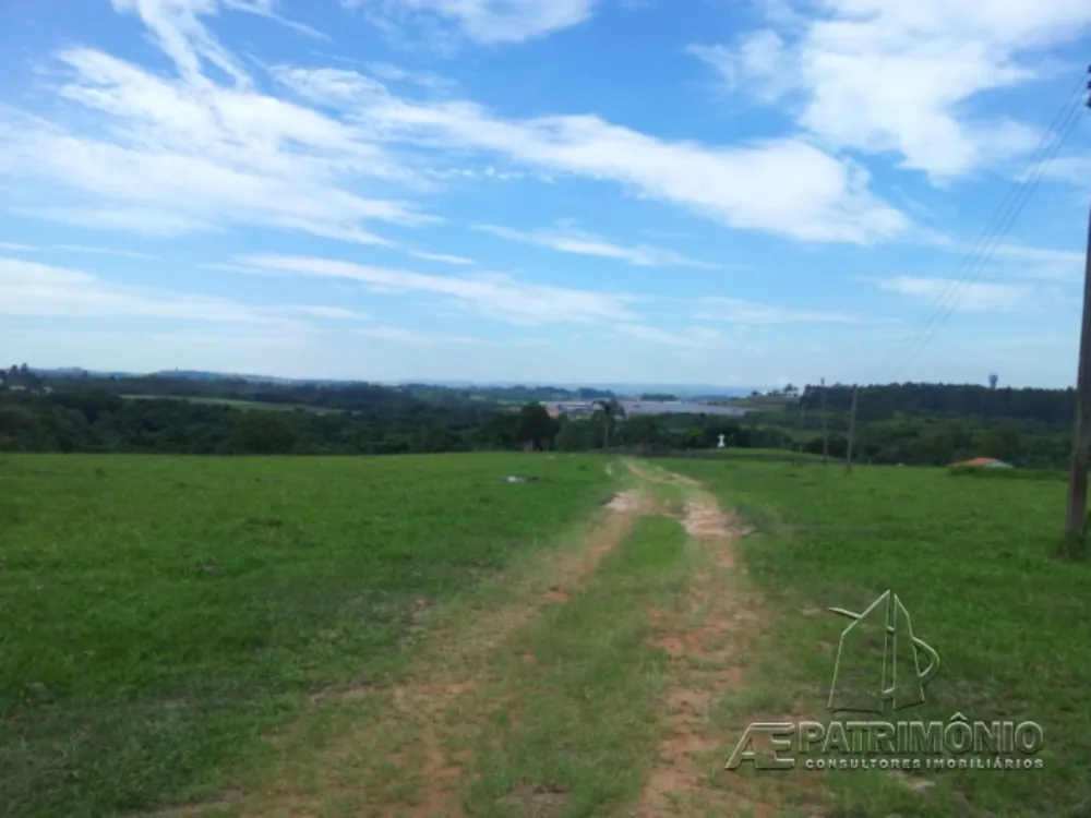 Terreno, 10 hectares - Foto 4