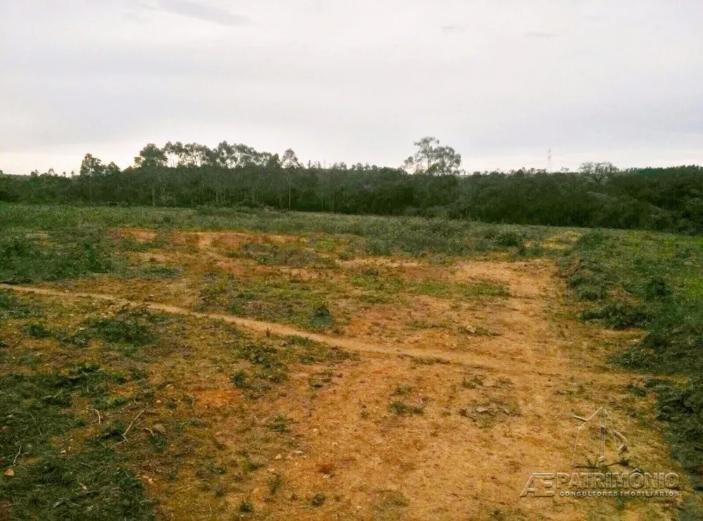 Terreno, 31 hectares - Foto 1