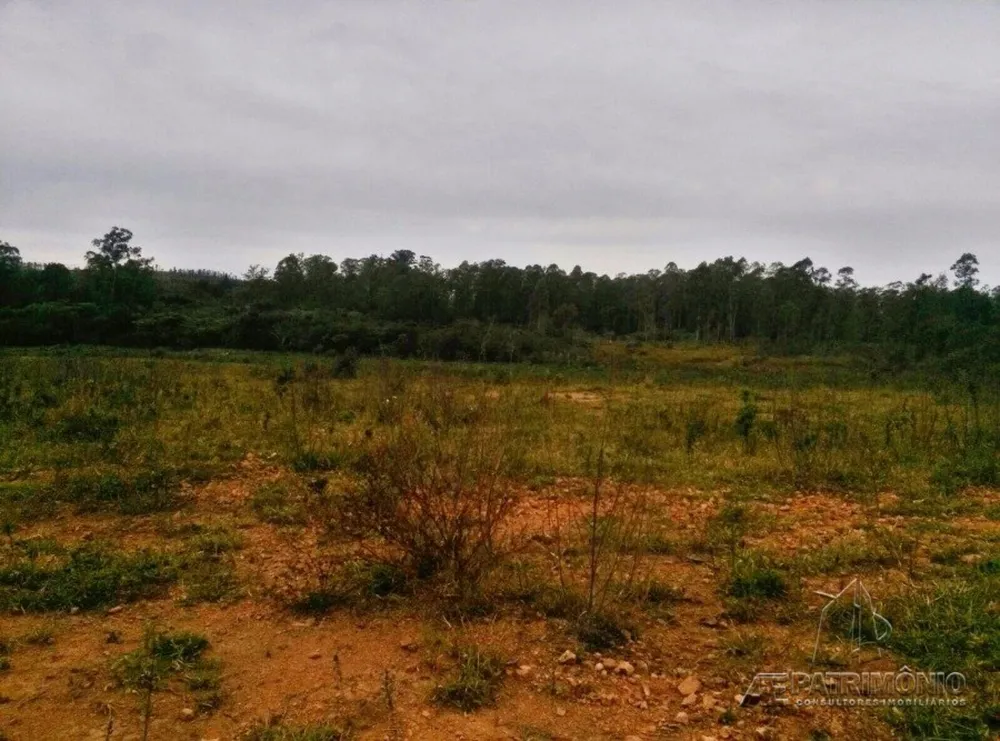 Terreno, 31 hectares - Foto 3