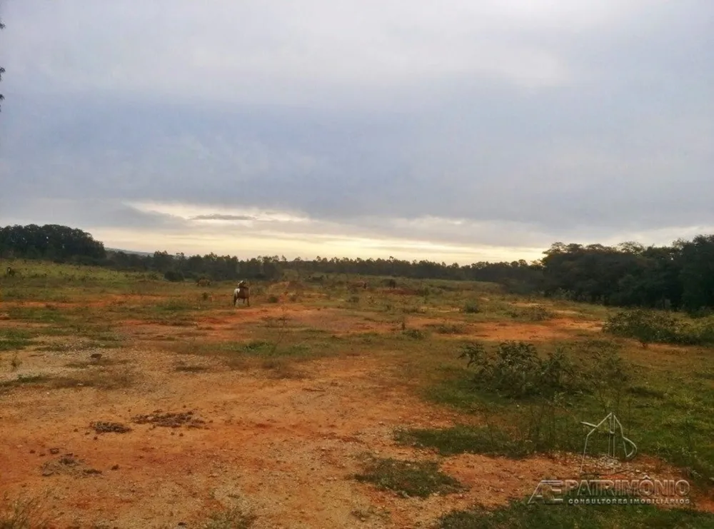 Terreno, 31 hectares - Foto 2