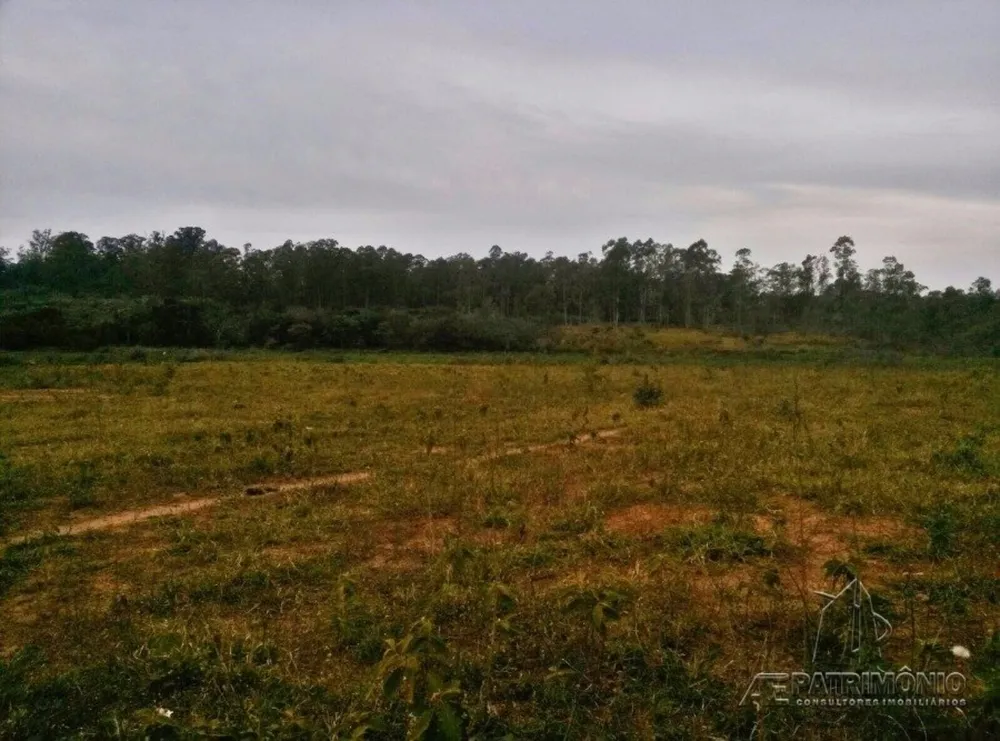 Terreno, 31 hectares - Foto 7