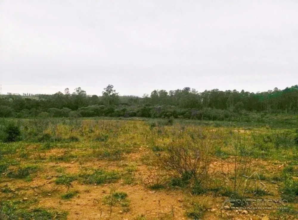 Terreno, 31 hectares - Foto 8