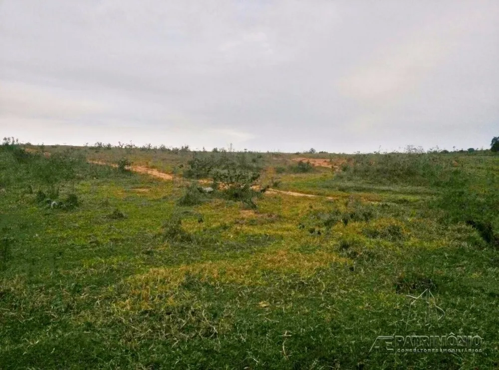 Terreno, 31 hectares - Foto 9