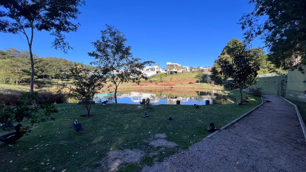 Terreno, 250 m² - Foto 11