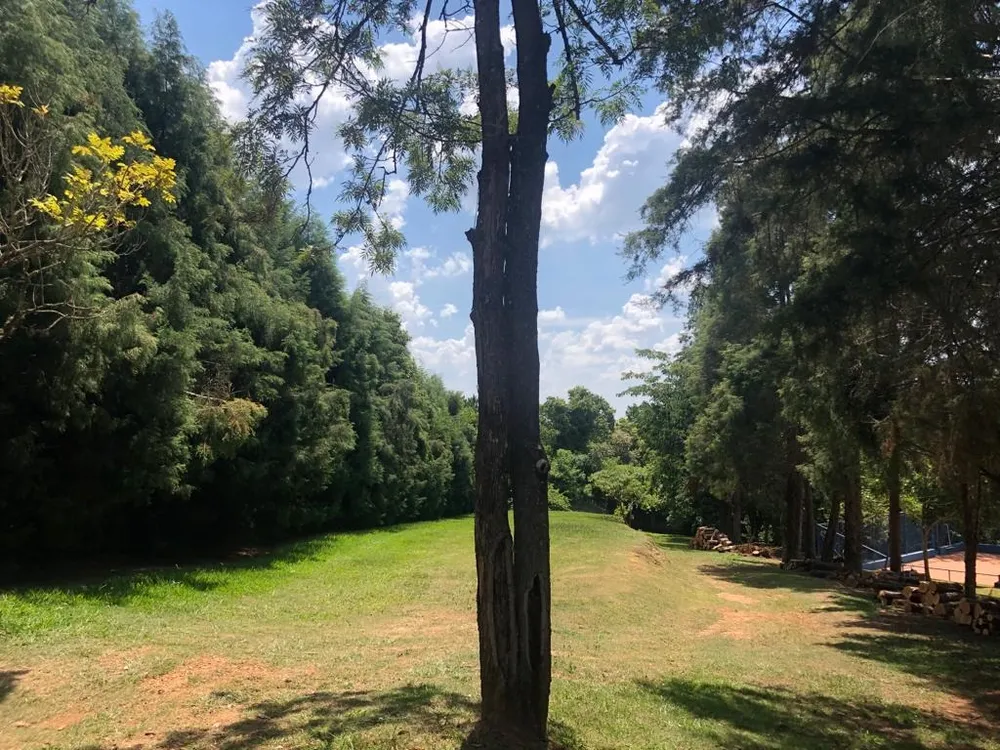 Terreno, 1400 m² - Foto 1