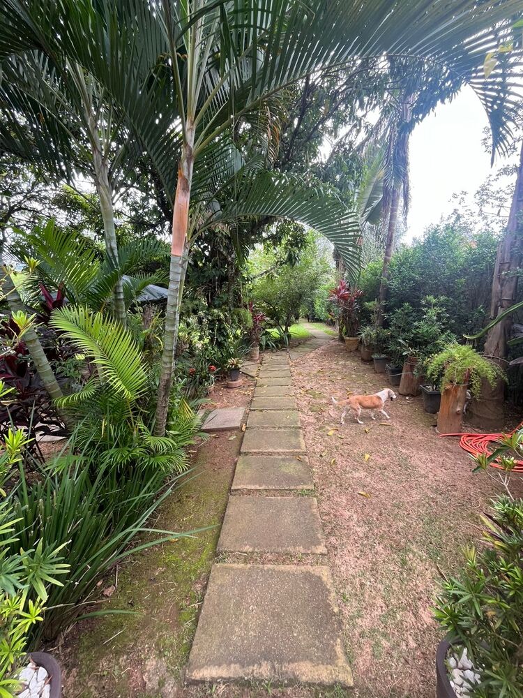 Chácara, 4 quartos - Foto 4