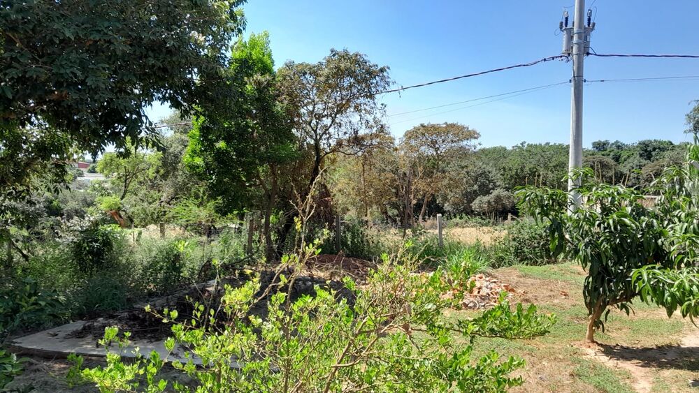 Terreno, 950 m² - Foto 2