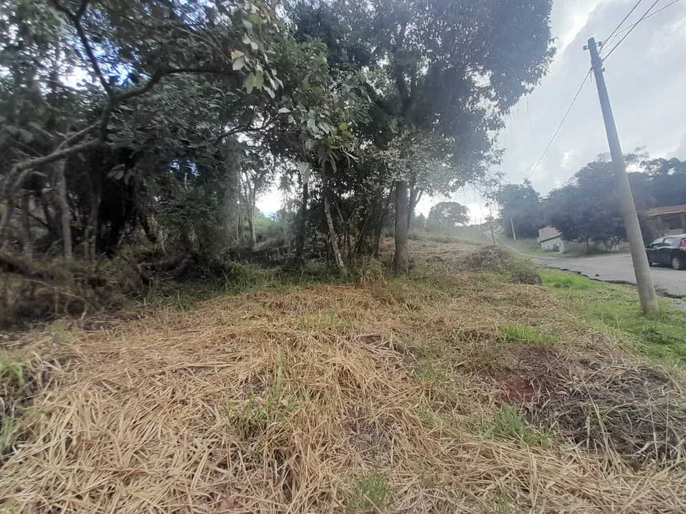 Terreno, 1000 m² - Foto 5