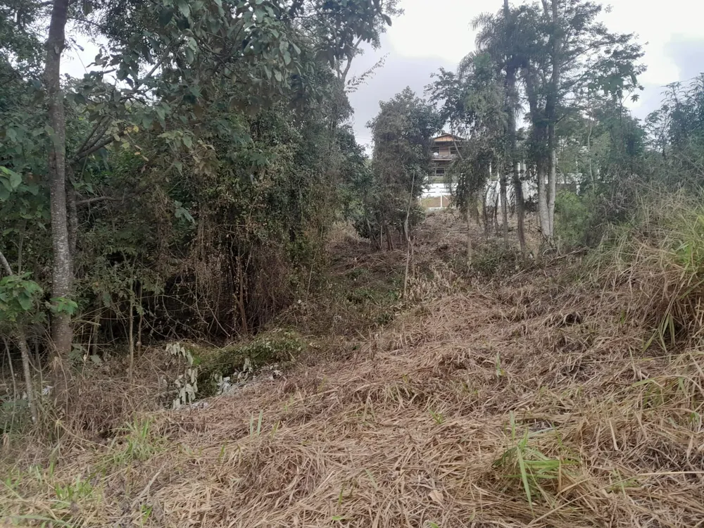 Terreno, 1000 m² - Foto 4