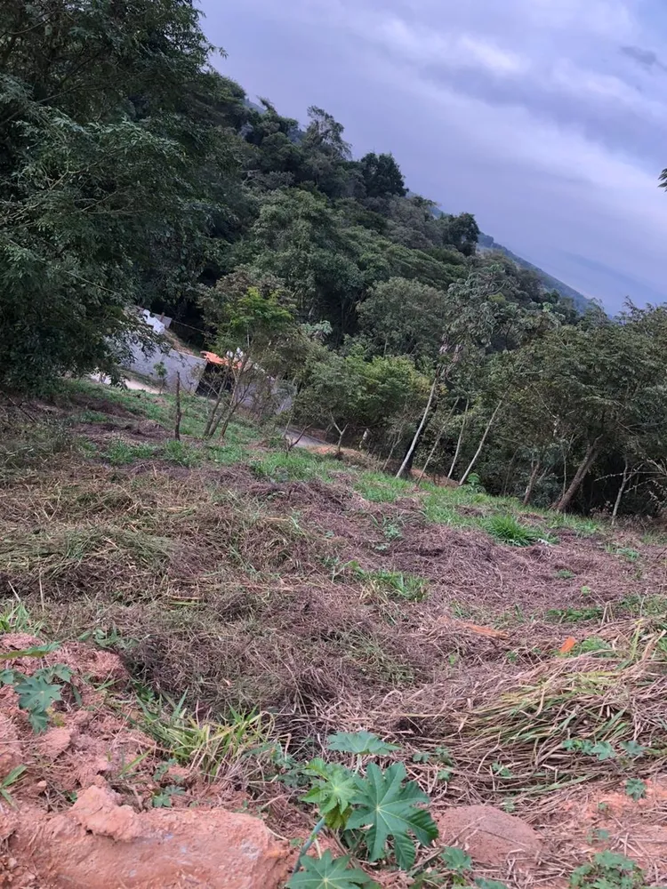 Terreno, 1000 m² - Foto 2
