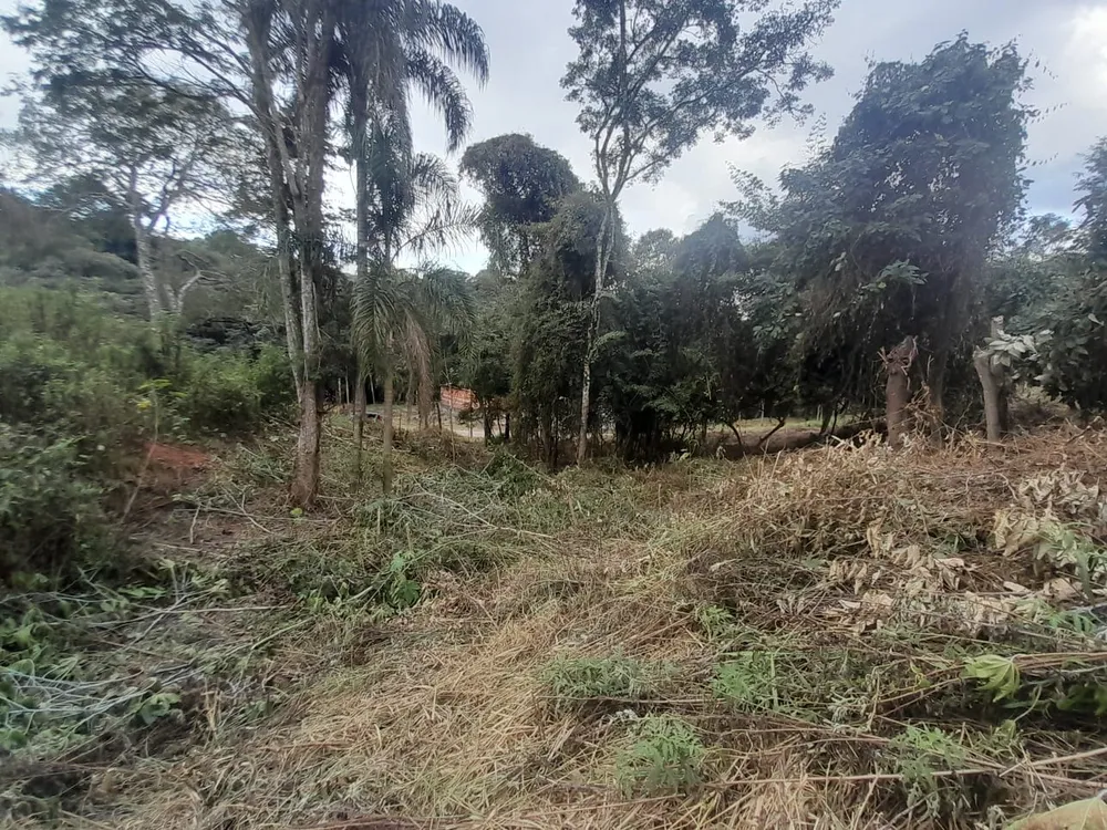 Terreno, 1000 m² - Foto 6