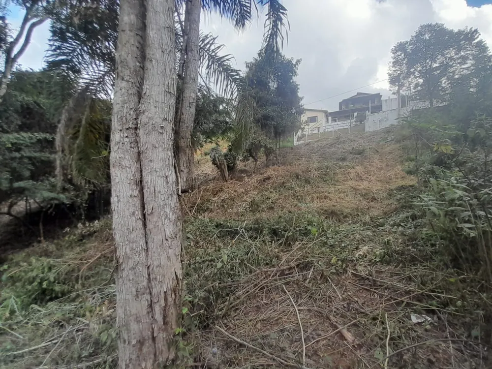 Terreno, 1000 m² - Foto 3