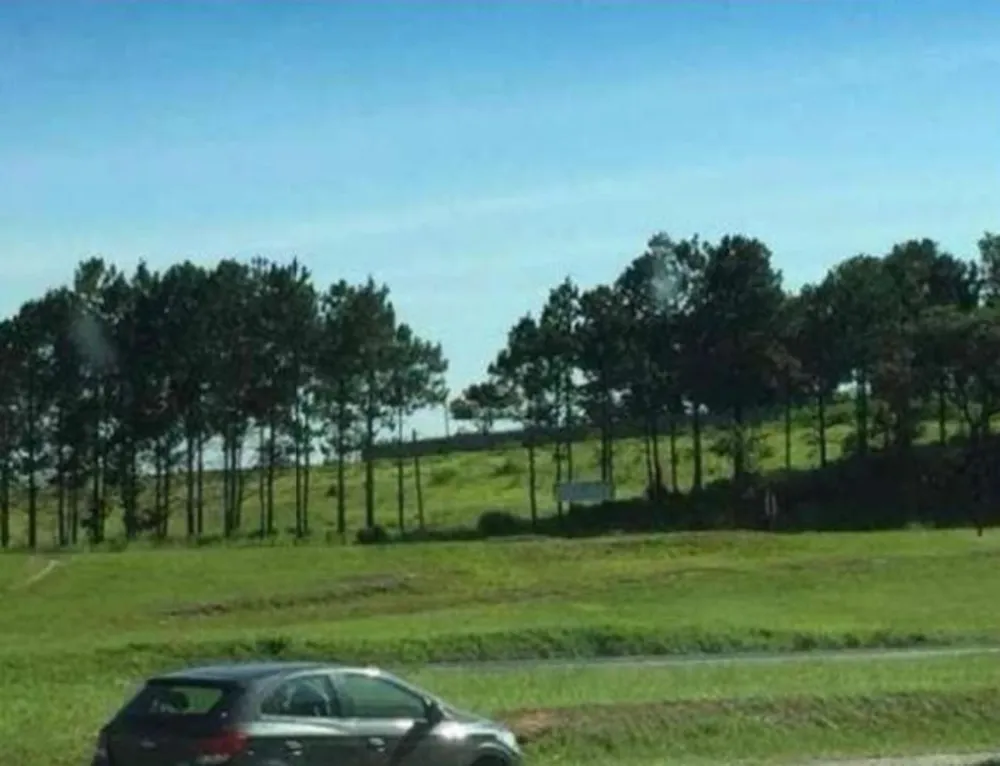 Terreno, 1 hectares - Foto 2