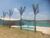 Chácara, 1000 m² - Foto 3