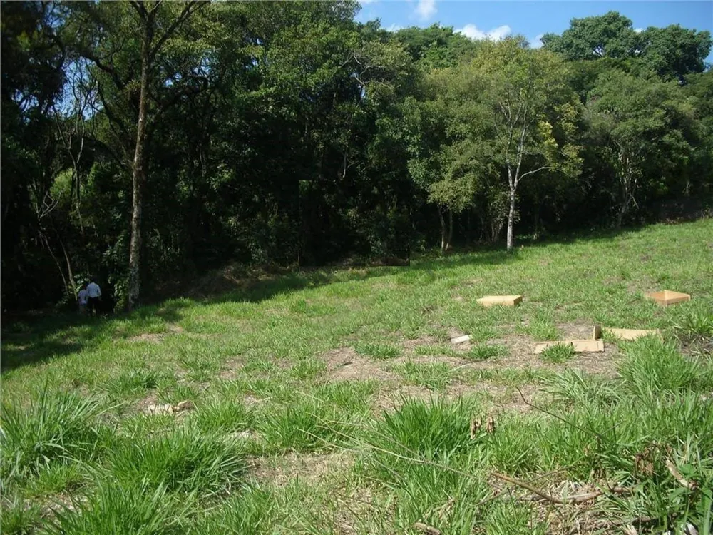 Terreno, 2 hectares - Foto 6