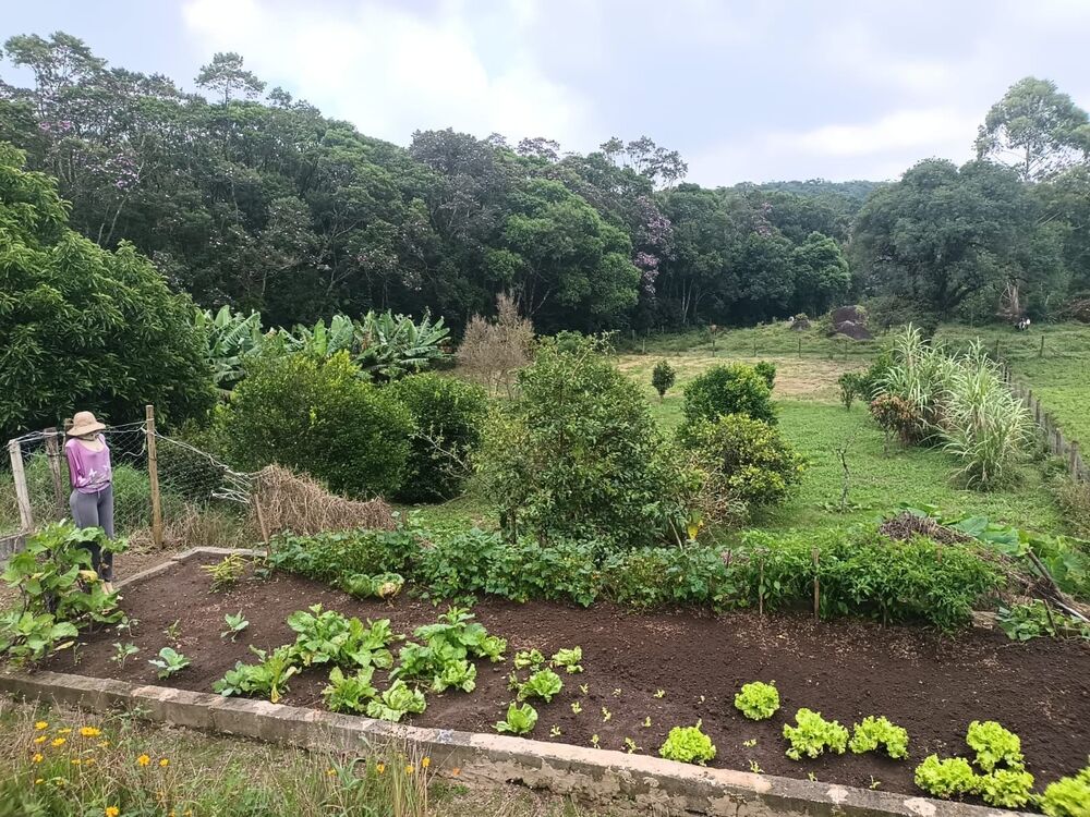 Sítio, 3 quartos - Foto 3