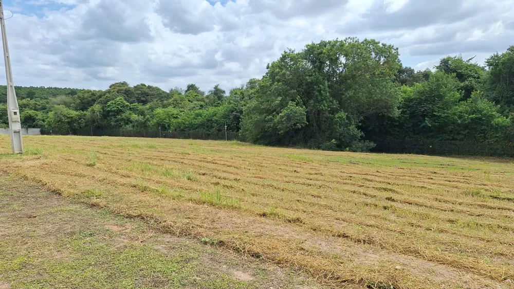 Terreno, 1000 m² - Foto 1