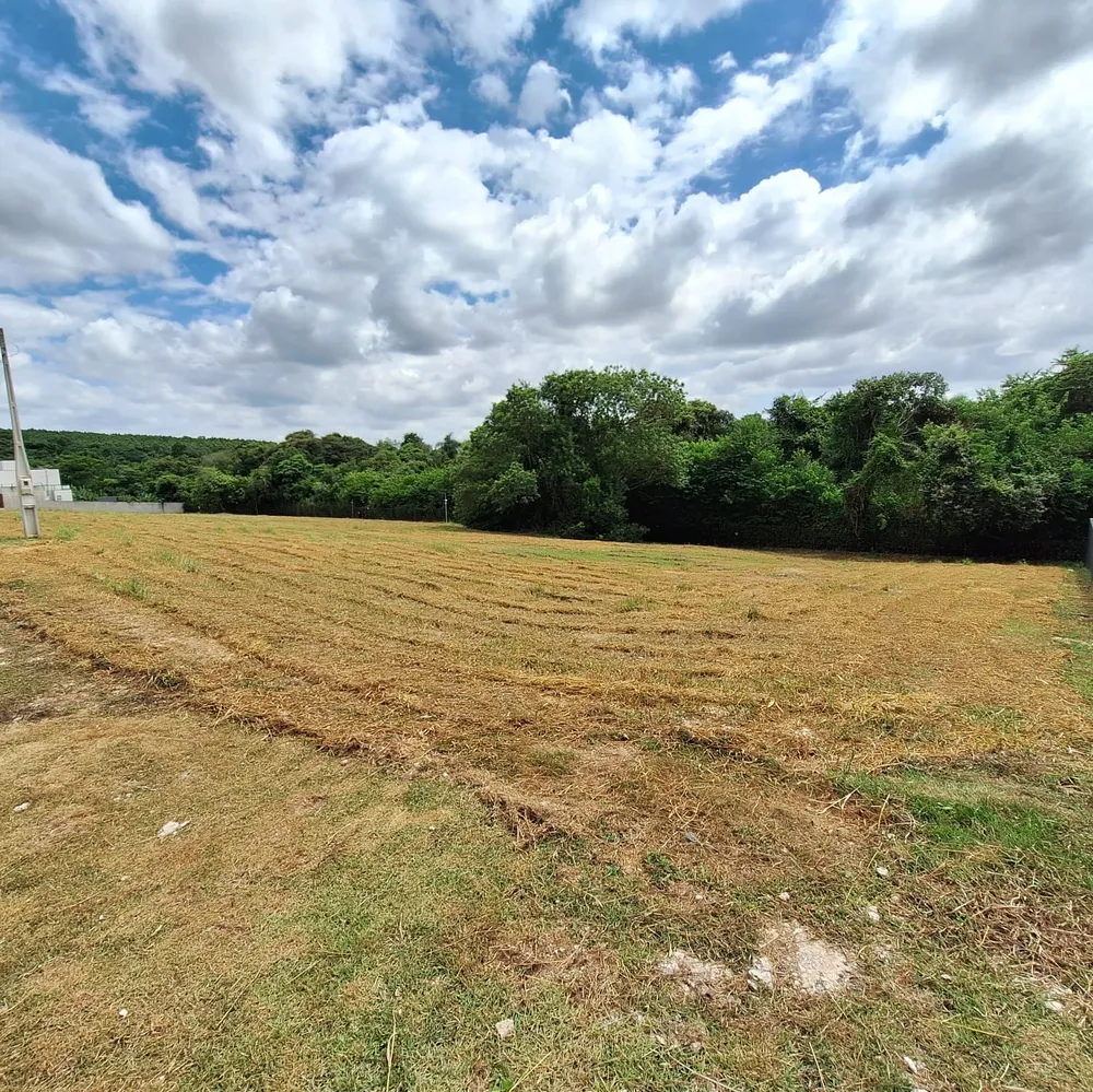 Terreno, 1000 m² - Foto 3