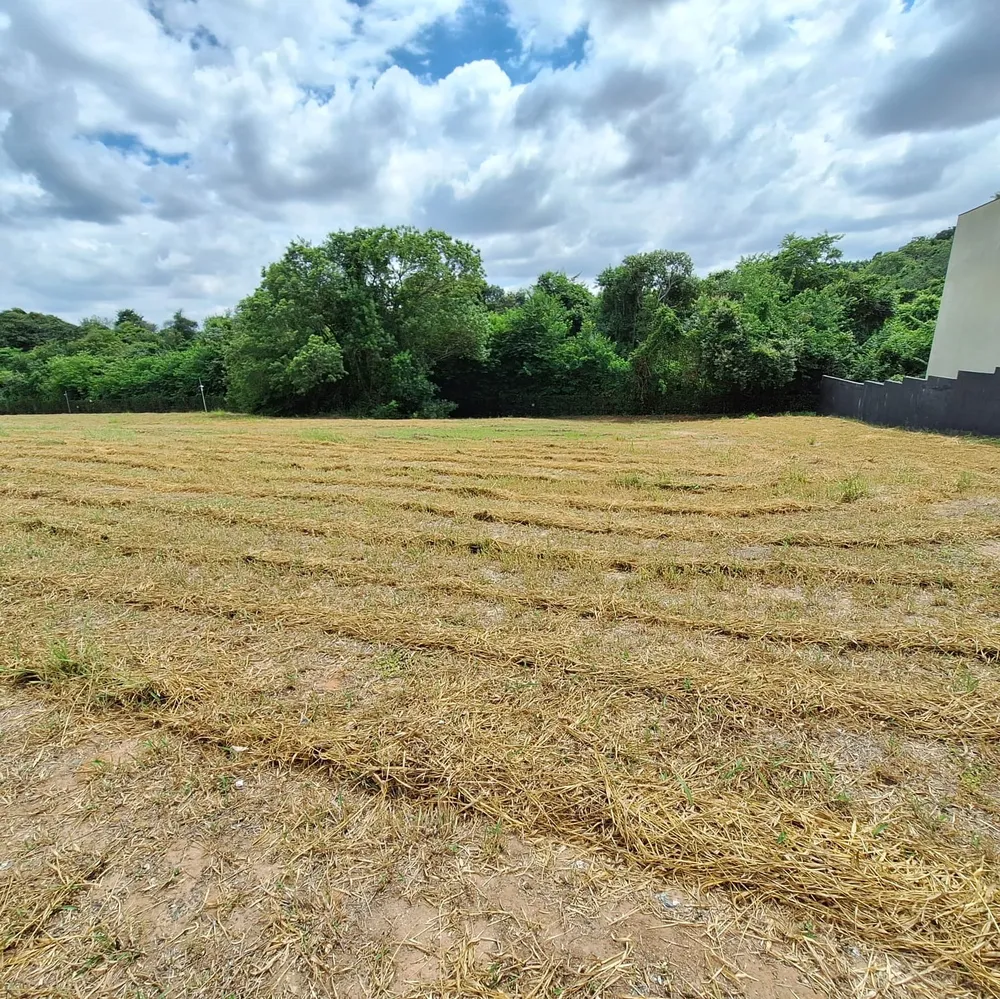 Terreno, 1000 m² - Foto 4